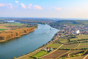 Vue aérienne de Ville au bord du Rhin vue du nord à Nierstein dans le département Rhénanie-Palatinat, Allemagne
