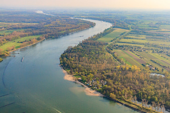 Vue aérienne de Plage Oppenheim à Oppenheim dans le département Rhénanie-Palatinat, Allemagne