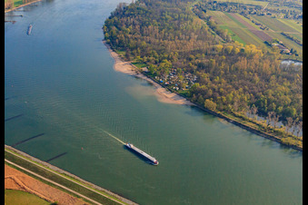 Vue aérienne de Plage Oppenheim à Oppenheim dans le département Rhénanie-Palatinat, Allemagne