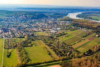 Vue aérienne de Ville au bord du Rhin vue de l'est à Oppenheim dans le département Rhénanie-Palatinat, Allemagne