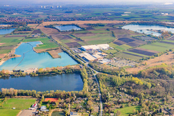 Vue aérienne de Lac du Bas-Rhin, lac Pfarrwiesen sur le Gimbsheimer Altrhein à Gimbsheim dans le département Rhénanie-Palatinat, Allemagne