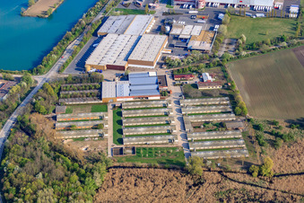 Vue aérienne de Hego Düngemittelwerk GmbH et TST Trans Service Team GmbH à Gimbsheim dans le département Rhénanie-Palatinat, Allemagne