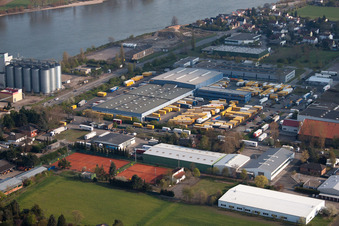 Vue d'oiseau de Quartier Rheindürkheim in Worms dans le département Rhénanie-Palatinat, Allemagne