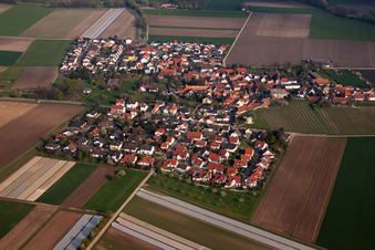 Vue aérienne de Kleinniedesheim dans le département Rhénanie-Palatinat, Allemagne
