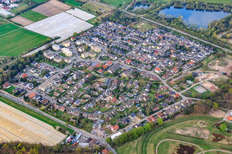 Vue aérienne de Rue Rebbach à Haßloch dans le département Rhénanie-Palatinat, Allemagne