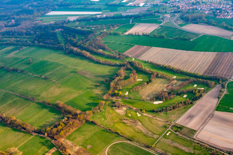 Vue oblique de Terrain de golf du Golf Club Pfalz à le quartier Geinsheim in Neustadt an der Weinstraße dans le département Rhénanie-Palatinat, Allemagne