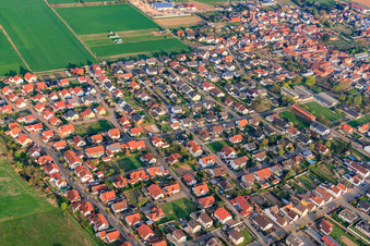 Photographie aérienne de Prairies de Haardt à Ottersheim bei Landau dans le département Rhénanie-Palatinat, Allemagne