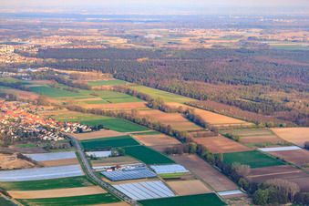 Vue aérienne de Entrée de la ville à Herxheim bei Landau dans le département Rhénanie-Palatinat, Allemagne