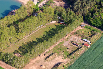Photographie aérienne de Terrain du club de tir à l'arc Schnoogejächer Rülzheim et de l'association des amoureux des chiens Rülzheim eV à Rülzheim dans le département Rhénanie-Palatinat, Allemagne