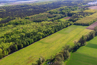Vue aérienne de Aérodrome modèle MSC Rülzheim à Rülzheim dans le département Rhénanie-Palatinat, Allemagne