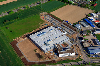 Vue aérienne de Nouveau bâtiment DBK David + Baader GmbH à Rülzheim dans le département Rhénanie-Palatinat, Allemagne