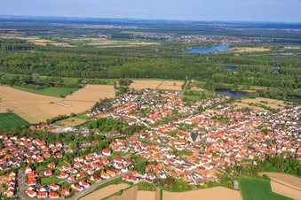 Photographie aérienne de Vue du village depuis l'ouest à Leimersheim dans le département Rhénanie-Palatinat, Allemagne