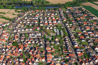 Vue aérienne de Rue Eduard-Feth à Leimersheim dans le département Rhénanie-Palatinat, Allemagne
