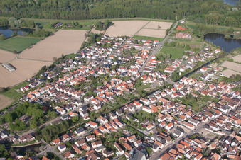 Vue aérienne de Champs agricoles et terres agricoles à Leimersheim dans le département Rhénanie-Palatinat, Allemagne