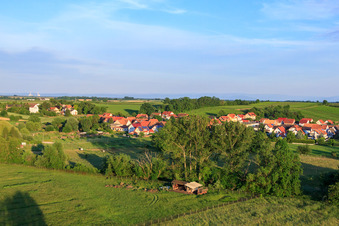 Photographie aérienne de À Billigheimer Bruch à Hergersweiler dans le département Rhénanie-Palatinat, Allemagne