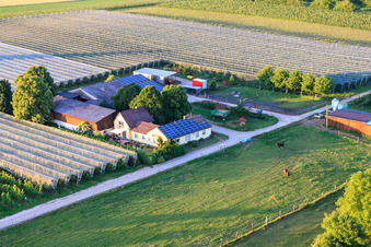 Asperges et Obsthof Gensheimer à Steinweiler dans le département Rhénanie-Palatinat, Allemagne depuis l'avion