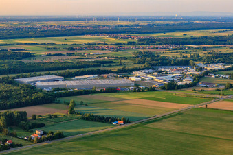 Vue aérienne de Logistique Zufall à le quartier Minderslachen in Kandel dans le département Rhénanie-Palatinat, Allemagne