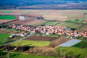 Vue aérienne de Du sud à Erlenbach bei Kandel dans le département Rhénanie-Palatinat, Allemagne