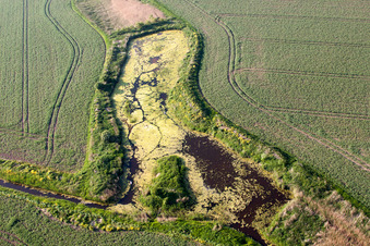 Saint Nicholas at Wade dans le département Angleterre, Grande Bretagne d'en haut