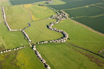Enregistrement par drone de Monkton dans le département Angleterre, Grande Bretagne