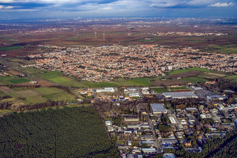 Vue aérienne de Vue de la ville depuis le sud-ouest à Haßloch dans le département Rhénanie-Palatinat, Allemagne