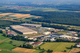 Vue aérienne de Zone industrielle Horst, centre logistique de Zufall à le quartier Minderslachen in Kandel dans le département Rhénanie-Palatinat, Allemagne