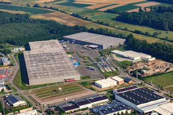 Photographie aérienne de Zone industrielle Horst, centre logistique de Zufall à le quartier Minderslachen in Kandel dans le département Rhénanie-Palatinat, Allemagne