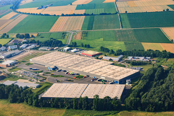 Zone industrielle Horst, centre logistique de Zufall à le quartier Minderslachen in Kandel dans le département Rhénanie-Palatinat, Allemagne vue du ciel