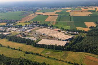 Enregistrement par drone de Zone industrielle Horst, centre logistique de Zufall à le quartier Minderslachen in Kandel dans le département Rhénanie-Palatinat, Allemagne