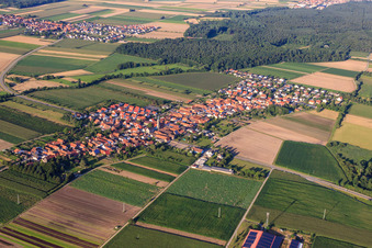 Vue oblique de Du sud-ouest à Erlenbach bei Kandel dans le département Rhénanie-Palatinat, Allemagne