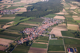 Vue oblique de De l'ouest à Erlenbach bei Kandel dans le département Rhénanie-Palatinat, Allemagne