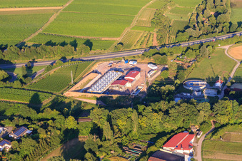 Vue oblique de Centrale géothermique de Pfalzwerke geofuture GmbH à Insheim sur l'A65 à Insheim dans le département Rhénanie-Palatinat, Allemagne