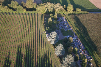 Vue aérienne de Cimetière à le quartier Mühlhofen in Billigheim-Ingenheim dans le département Rhénanie-Palatinat, Allemagne