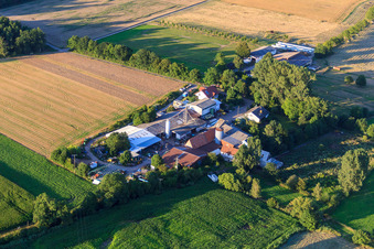 Vue aérienne de Ranch Palatino à Erlenbach à Steinweiler dans le département Rhénanie-Palatinat, Allemagne