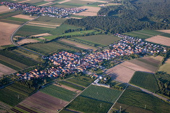 Photographie aérienne de Du sud-est à Erlenbach bei Kandel dans le département Rhénanie-Palatinat, Allemagne