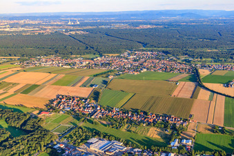Vue du village depuis le nord à le quartier Minderslachen in Kandel dans le département Rhénanie-Palatinat, Allemagne depuis l'avion