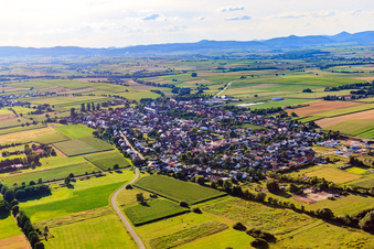 Vue du village depuis le sud-est à Minfeld dans le département Rhénanie-Palatinat, Allemagne vue d'en haut