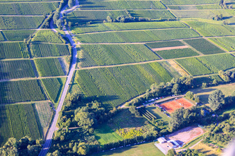 Vue aérienne de Club de tennis TCO Oberotterbach et SV Oberotterbach 1950 eV à Dörrenbach dans le département Rhénanie-Palatinat, Allemagne