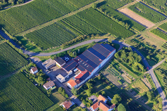 Domaine viticole Emil Wissing GmbH à Oberotterbach dans le département Rhénanie-Palatinat, Allemagne hors des airs