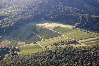 Photographie aérienne de Pleisweiler-Oberhofen dans le département Rhénanie-Palatinat, Allemagne