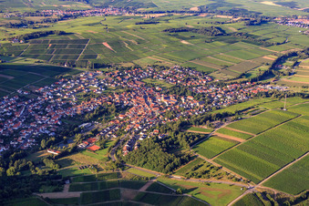 Vue aérienne de Village viticole au bord du Haardt du sud-ouest à Klingenmünster dans le département Rhénanie-Palatinat, Allemagne