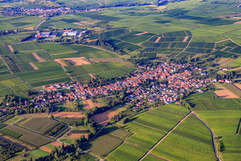 Vue aérienne de Ville viticole du sud-ouest à Göcklingen dans le département Rhénanie-Palatinat, Allemagne