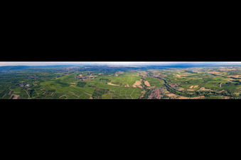 Vue aérienne de Panorama du paysage viticole des régions viticoles du Palatinat du Sud dans la plaine du Rhin près de Billigheim-Ingenheim à le quartier Klingen in Heuchelheim-Klingen dans le département Rhénanie-Palatinat, Allemagne