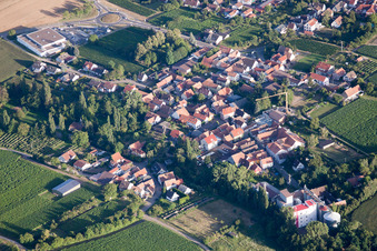 Photographie aérienne de Quartier Appenhofen in Billigheim-Ingenheim dans le département Rhénanie-Palatinat, Allemagne