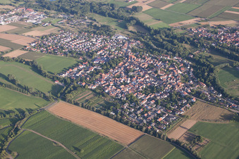 Photographie aérienne de Quartier Billigheim in Billigheim-Ingenheim dans le département Rhénanie-Palatinat, Allemagne