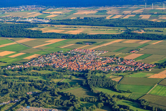 Vue aérienne de Vue d'ensemble du village depuis le nord à Steinweiler dans le département Rhénanie-Palatinat, Allemagne