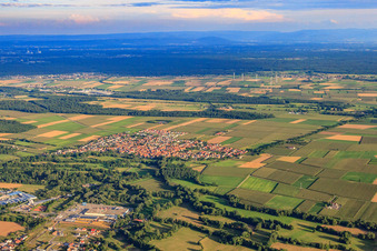 Vue aérienne de Vue d'ensemble du village depuis le nord-ouest à Steinweiler dans le département Rhénanie-Palatinat, Allemagne
