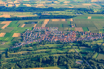 Vue aérienne de Vue d'ensemble du village depuis le nord-est à Steinweiler dans le département Rhénanie-Palatinat, Allemagne