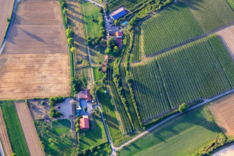 Photographie aérienne de Ranch Herxe à Herxheim bei Landau dans le département Rhénanie-Palatinat, Allemagne