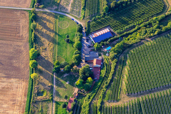 Ranch Herxe à Herxheim bei Landau dans le département Rhénanie-Palatinat, Allemagne d'en haut